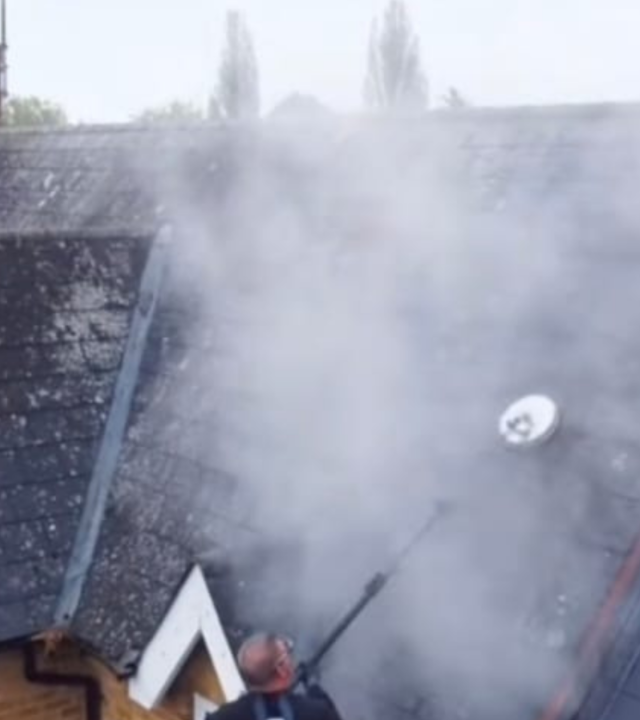 Untitled design (21)